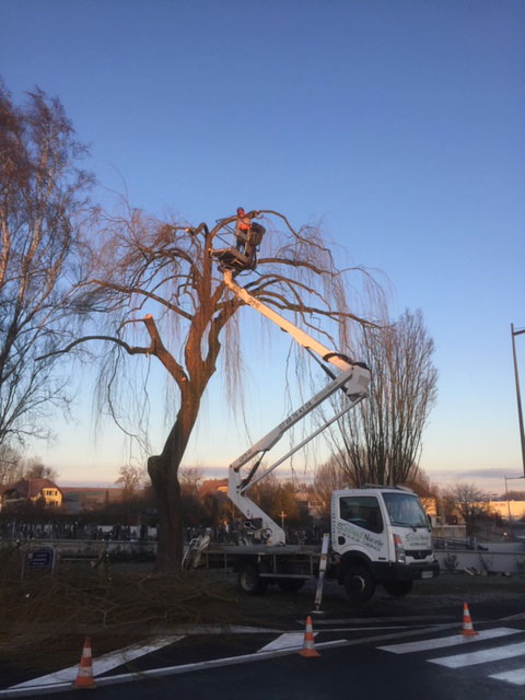 Entretien de jardins et espaces verts à Hirsingue dans le Sundgau (68) Belfort 0